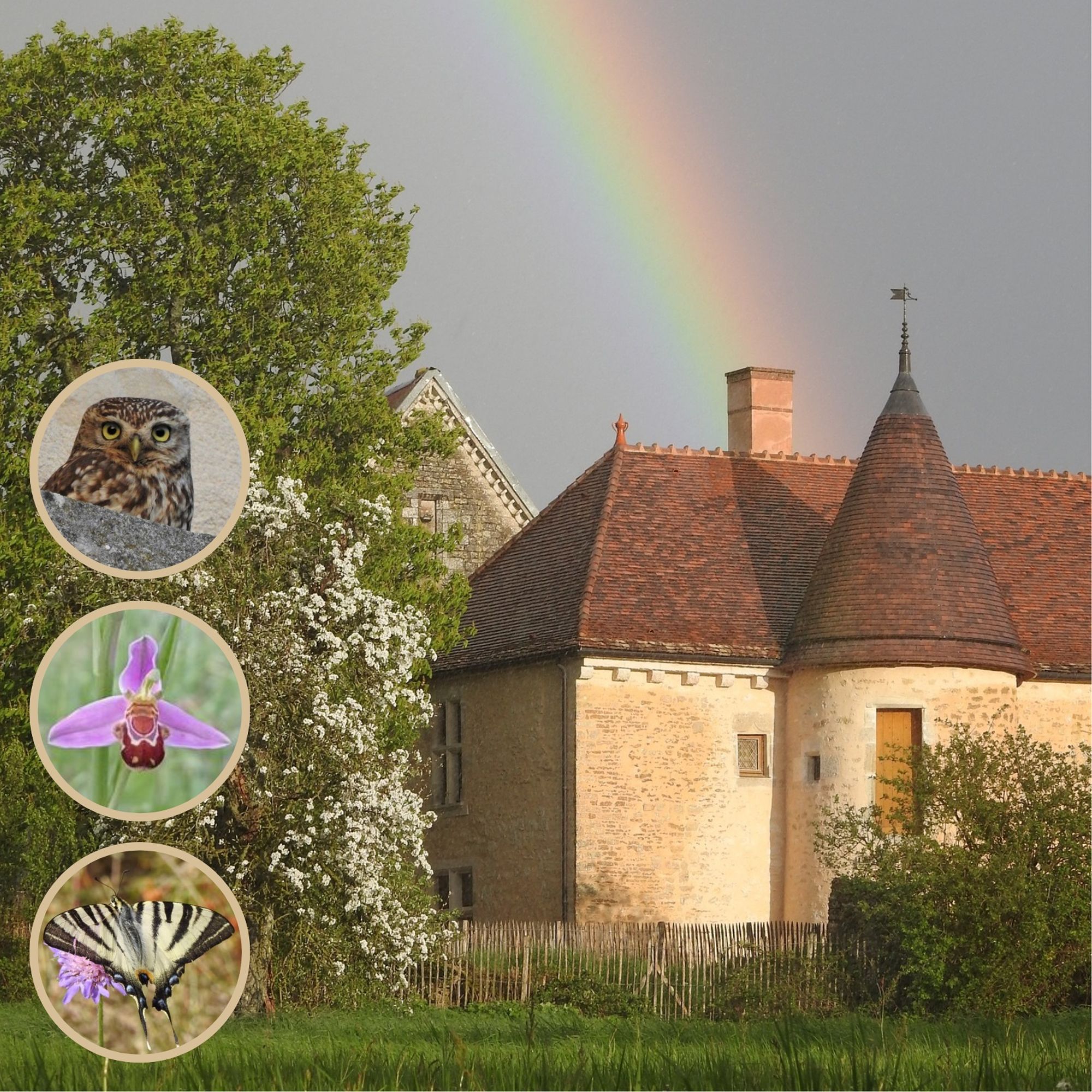 Photographie, Aube Destination Nature