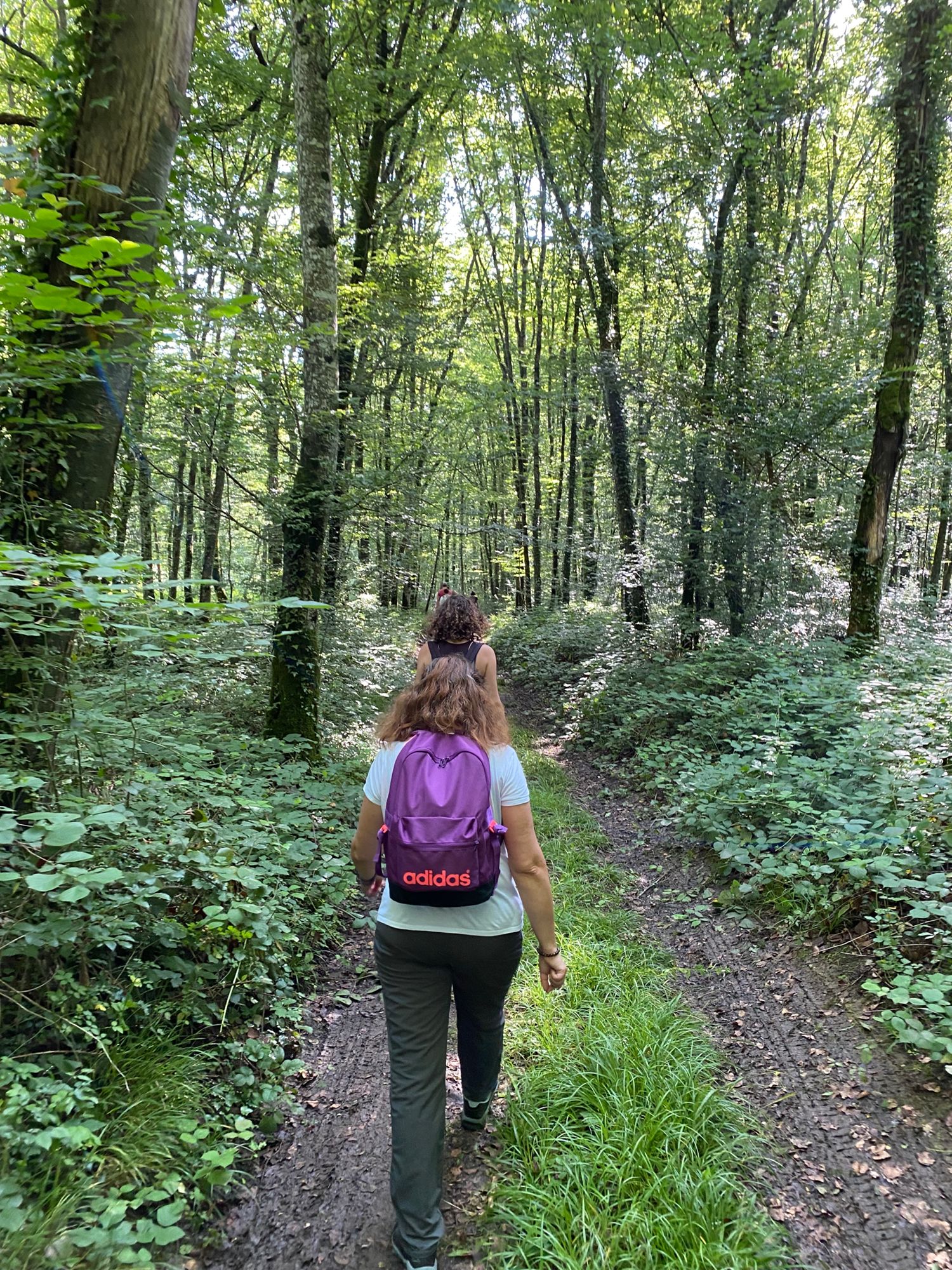 Excursion nature : Après-midi d’été autour de la biodiversité d’Avalleur