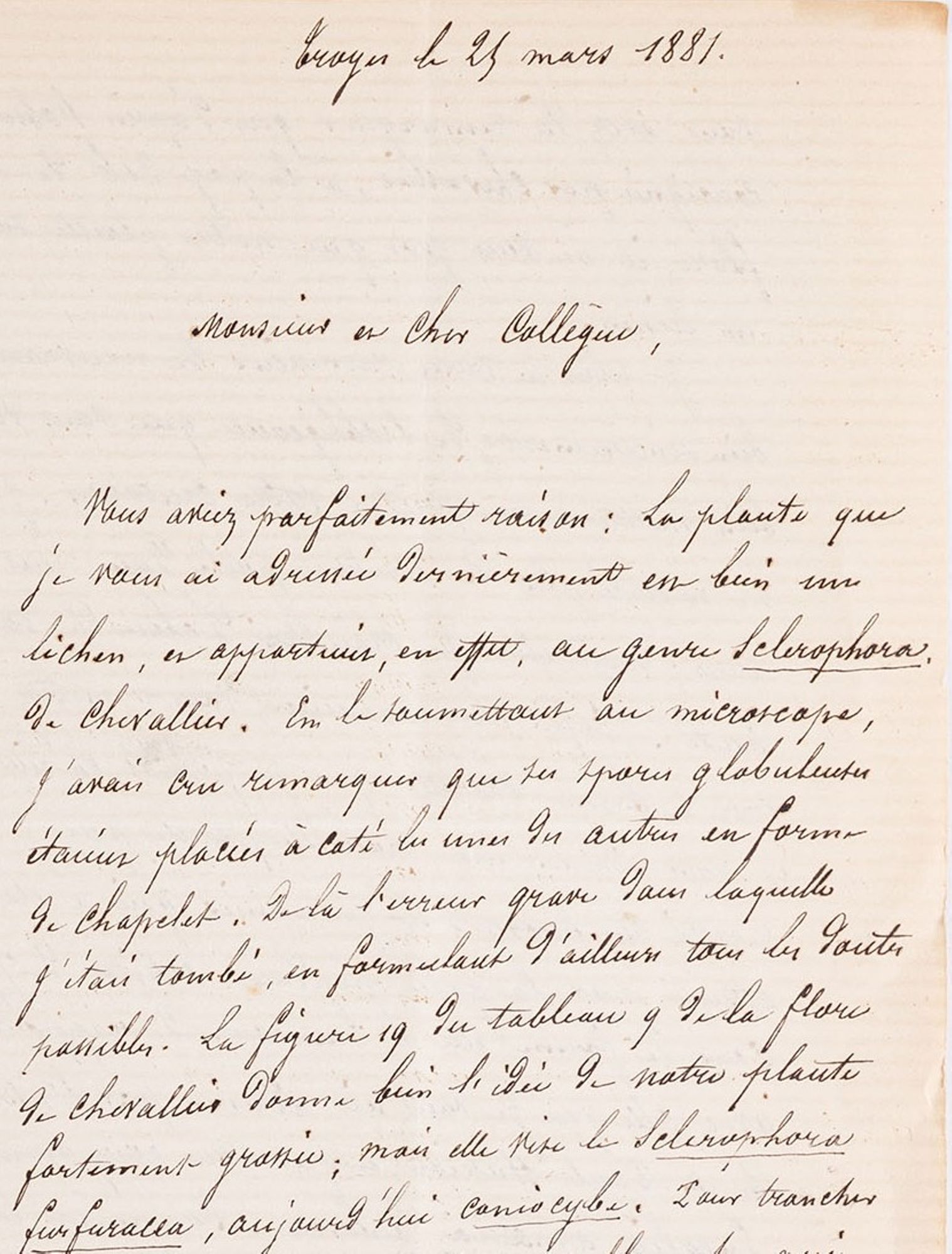 Lettres à Emile Boudier (mycologue)