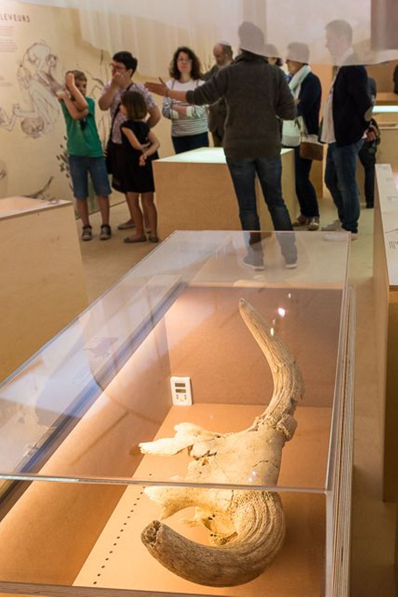 Plus qu'un mois pour découvrir ou redécouvrir l'exposition ArkéAube avant sa fermeture - 2